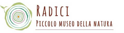 RADICI MUSEO DELLA NATURA LOGO